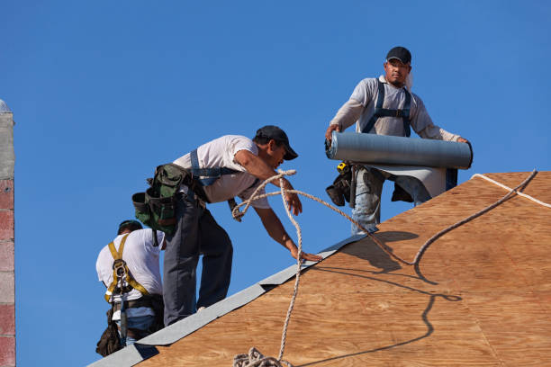 Best Storm Damage Roof Repair  in Pimmit Hills, VA