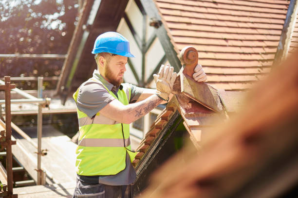 Roof Gutter Cleaning in Pimmit Hills, VA